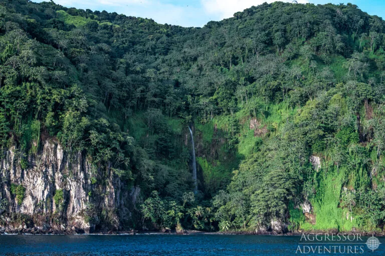Cocos Island – podwodne skarby wpisanej na listę UNESCO wyspy