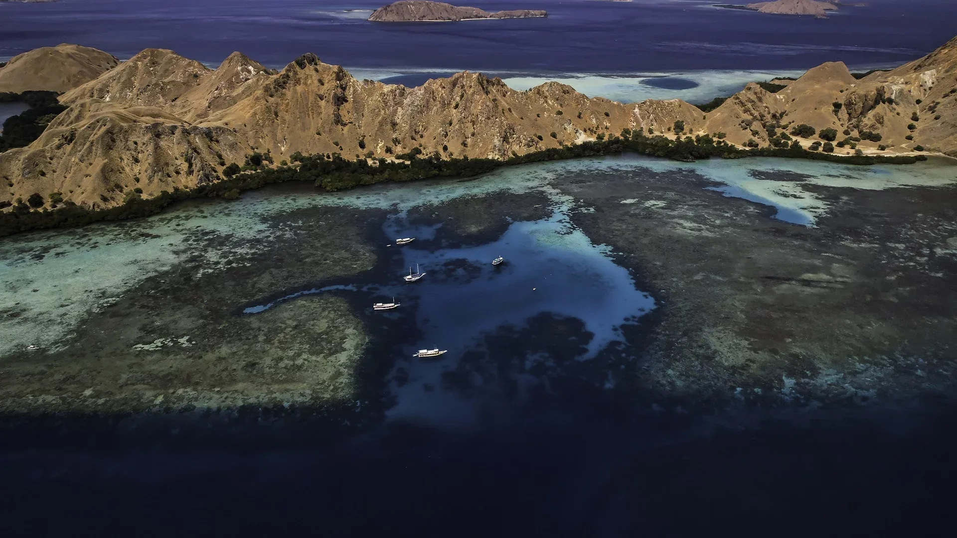 Nurkowanie podczas wyprawy Komodo nurkowanie – Jurrasic Adventure i Manta Madness Safari 5*