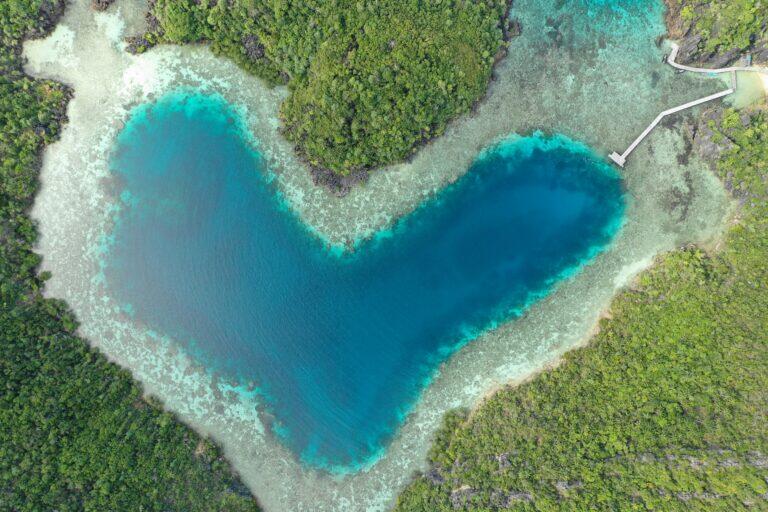 RAJA AMPAT & MISOOL – Indonezja – 10cio dniowe safari nurkowe podczas, którego zobaczysz wszystkie skarby „Czterech Królów”