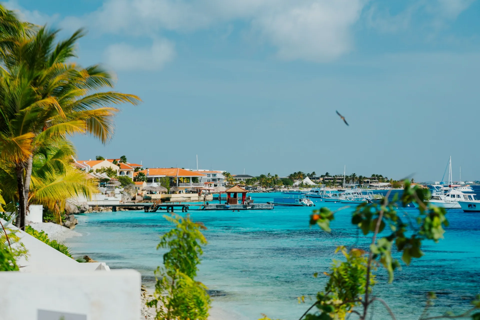 Nurkowanie podczas wyprawy Bonaire – karaibska swoboda nurkowania