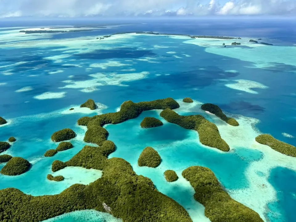 Nurkowanie podczas wyprawy PALAU – – Full Moon Expedition