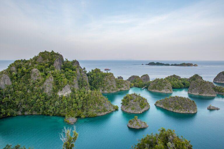 RAJA AMPAT i MISOOL – Indonezja – Papua Zachodnia